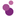 The Zuri White Sands Goa Resort & Casino logo