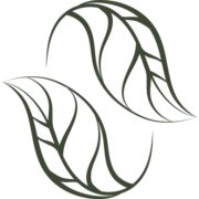 Seré logo